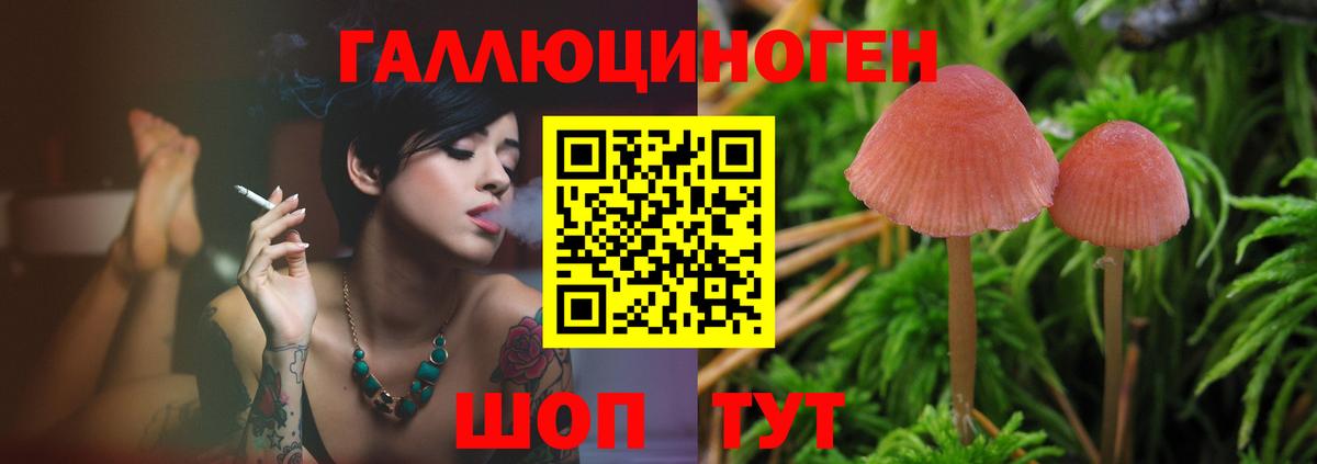 Псилоцибиновые грибы Psilocybe  Вход с VPN  где можно купить наркотик  Галлюциногенные грибы ЛСД  Вышний Волочёк 